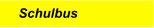 Schulbus